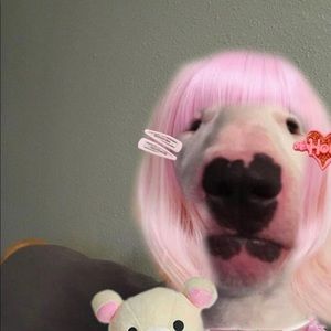 Meet your Posher, Nia